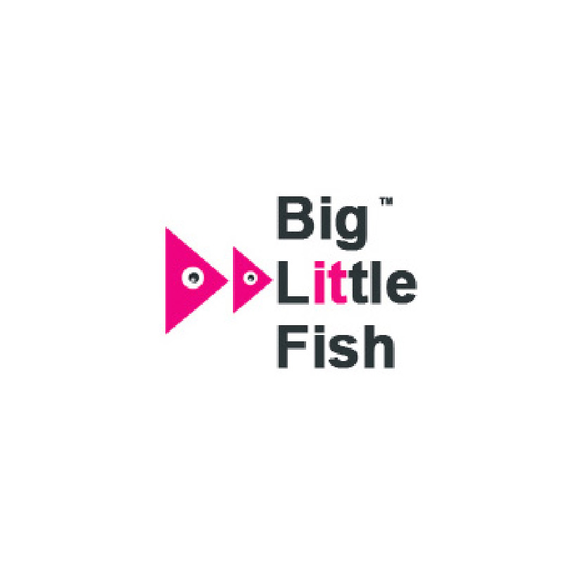 Big-Little-Fish Big-Little-Fish