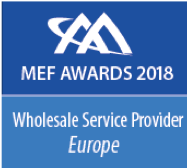 MEF2018-3