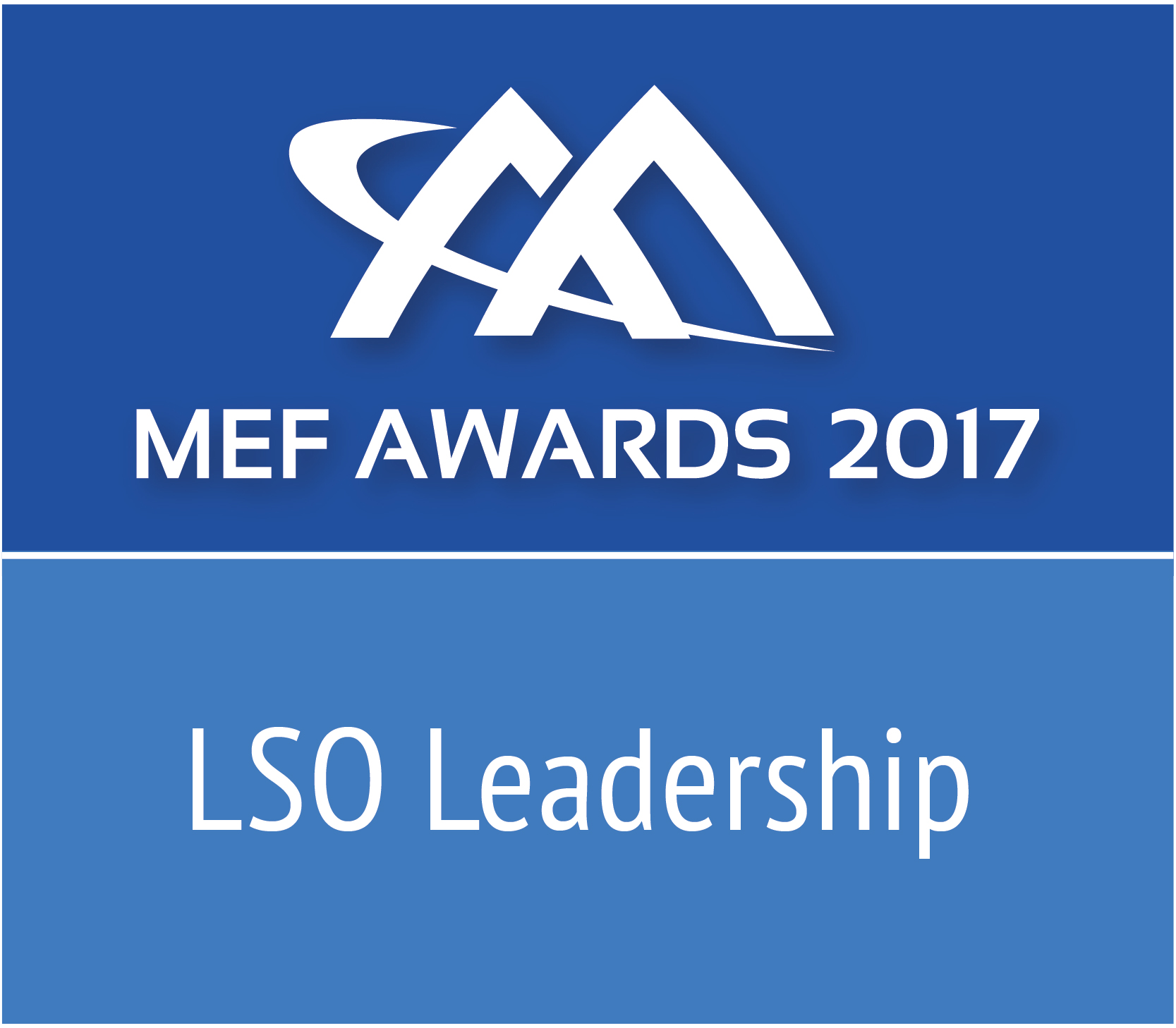 MEFAward2017_LSOLeadership_Worldwide_r2