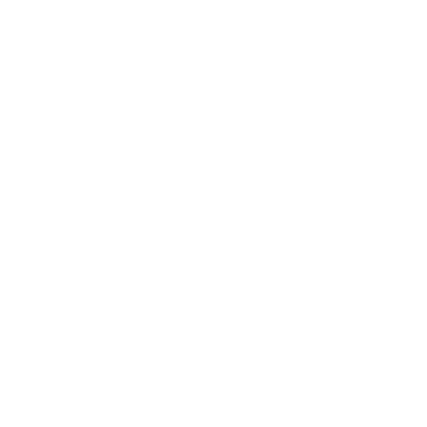 Icon 1 Icon 1