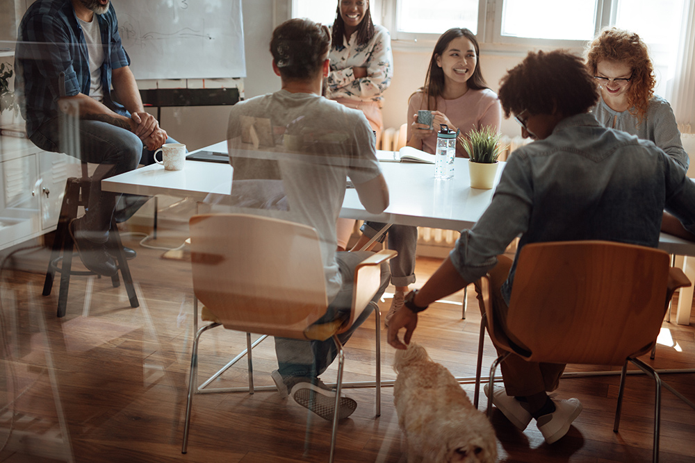 Business Meeting in a Conference Room