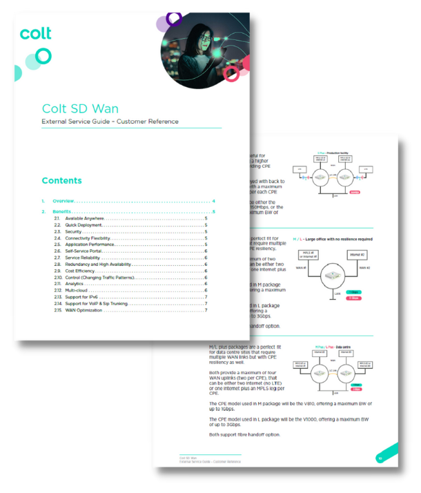 SD WAN external service guide - screenshot