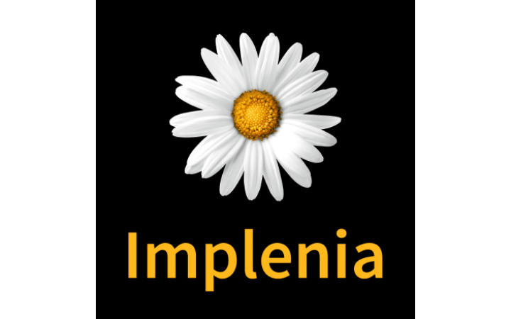 Implenia Logo - Case Study