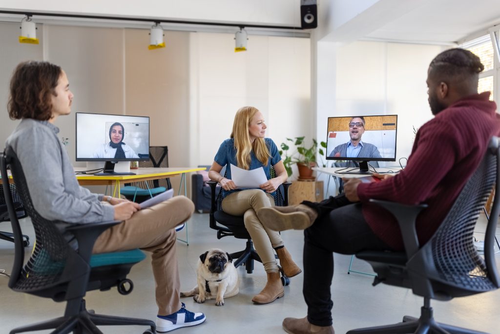 Entrepreneurs having hybrid meeting at startup office Startup businesspeople having a meeting at a small office with colleagues joining the meeting via video call. Diverse group of startup entrepreneurs meeting with colleagues working remotely over video conference.
