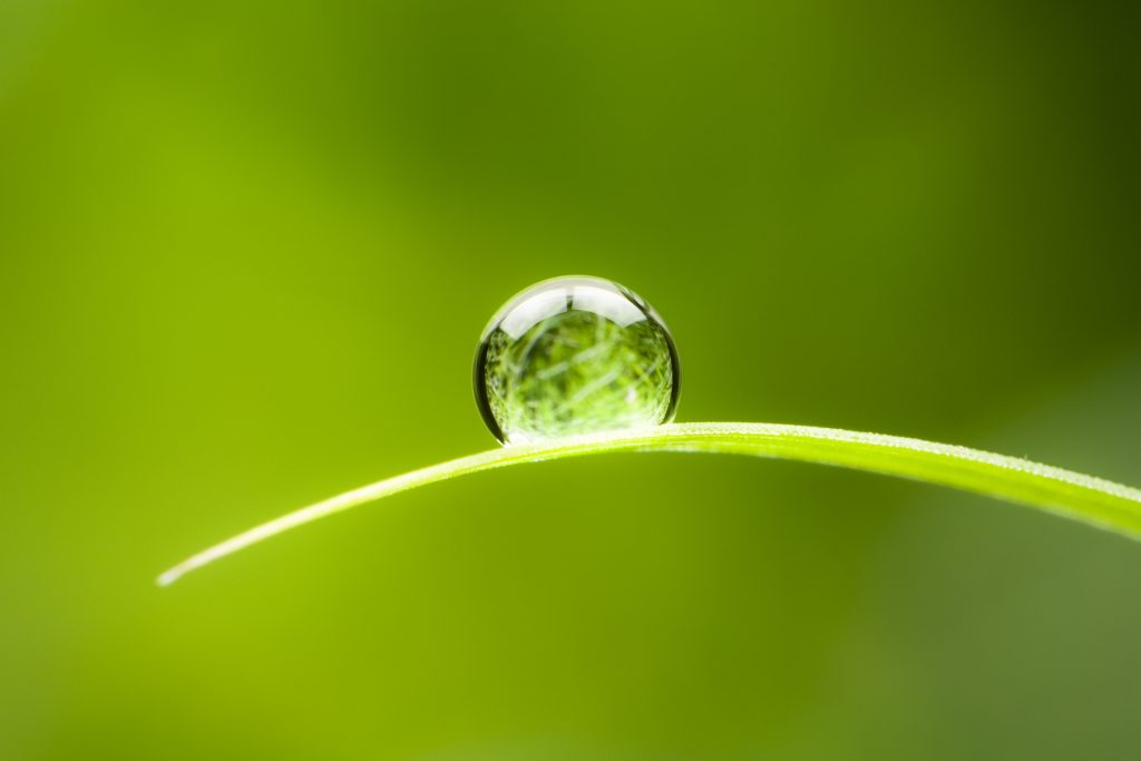 Waterdrop.  Water Drop Leaf Environmental Conservation Balance Green Nature