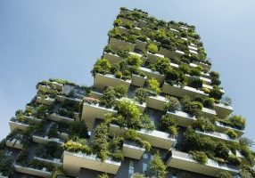 sustainable green building